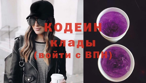 соль ск Елизово