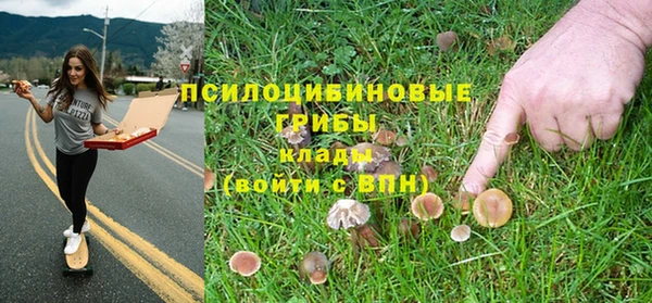 первитин Заволжье