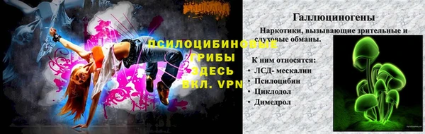 соль ск Елизово