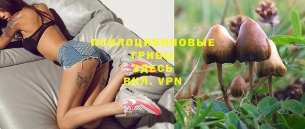 МДМА Заволжск
